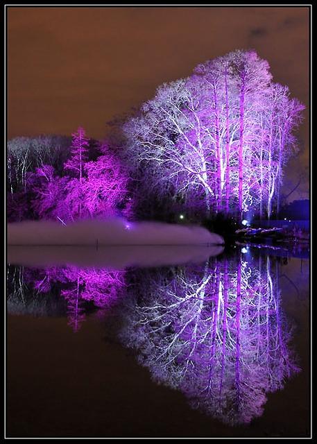 Fêtes des Lumières Lyon  - 2008 (20)